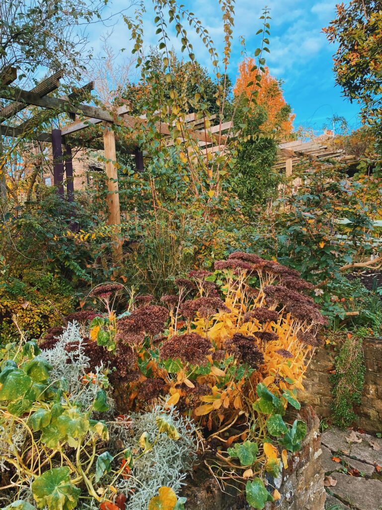 Culpepper Community Garden in Islington, London
