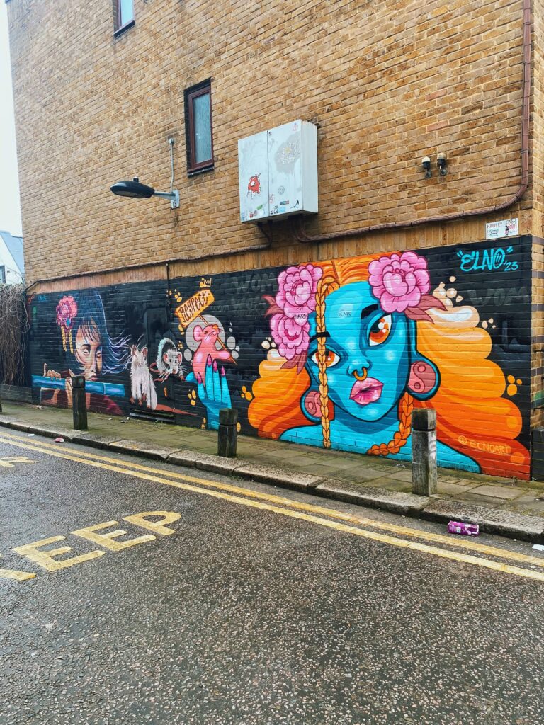Street art by Elno on Hawley Mews in Camden