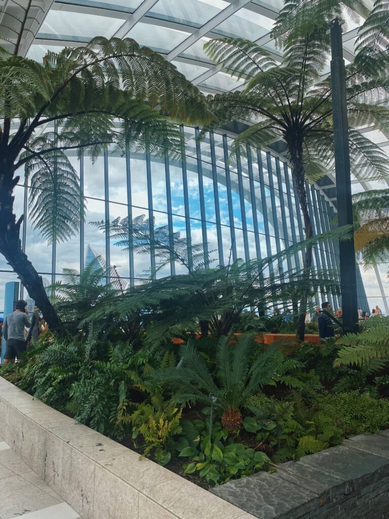 View looking out of the Sky Garden building in London with plants and trees in the foreground