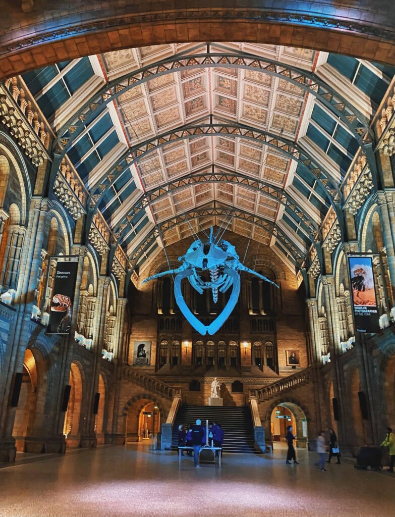 National History Museum main hall in London