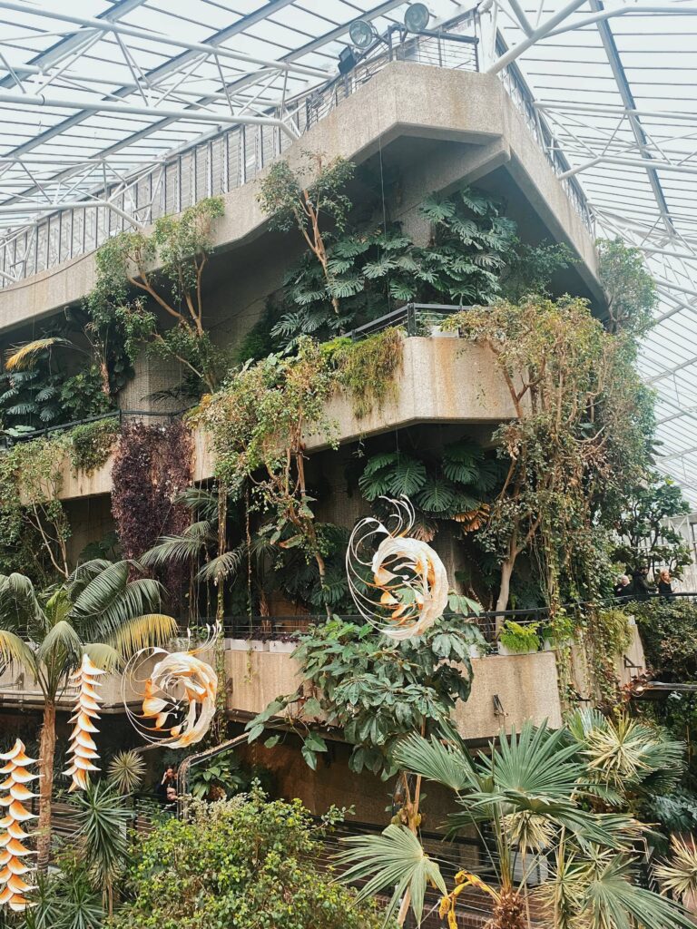 The view inside the Barbican Conservatory in London