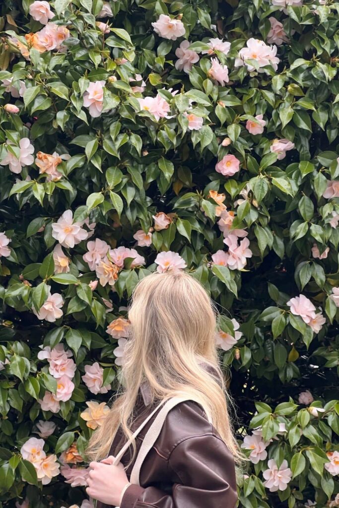 Spring bucket list ideas
