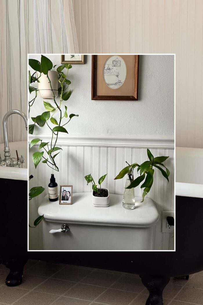 12 Cute Ways to Decorate Your Toilet Tank